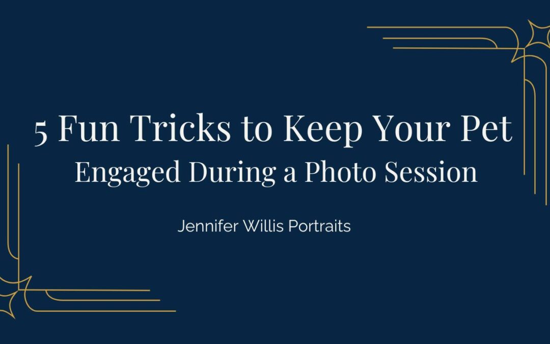 5 Fun Tricks to Keep Your Pet Engaged in a Photo Session